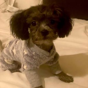 Meet your Posher, Denise